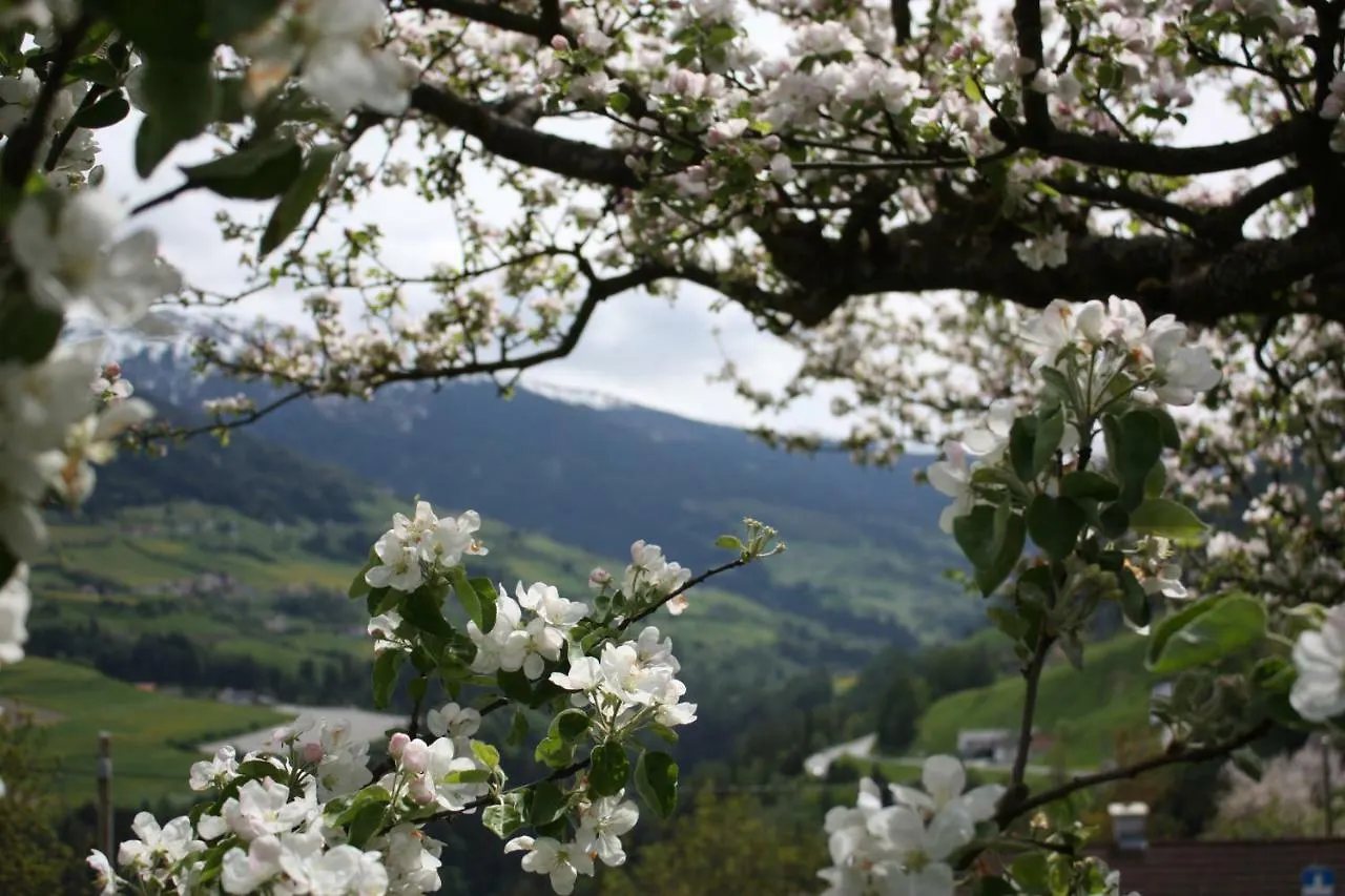 Apartment Ferienwohnung Stolznhof Schönberg im Stubaital